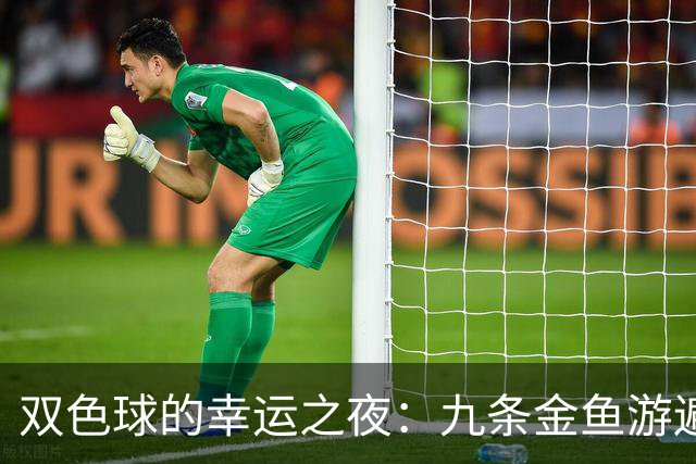 双色球的幸运之夜：九条金鱼游遍六个地方
